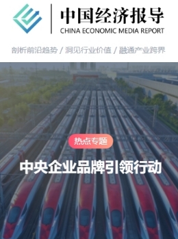 中国经济报导